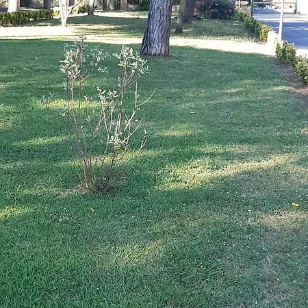 Axa לינה וארוחת בוקר קזאל פלוקו