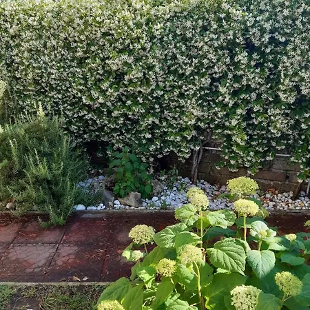 ベッド・アンド・ブレックファスト アクサ 3*