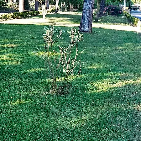 לינה וארוחת בוקר Axa